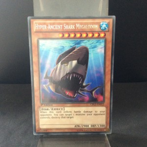 Hyper-Ancient Shark Megalodon