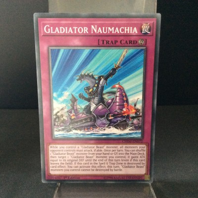 Gladiator Naumachia