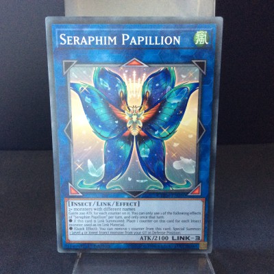 Seraphim Papillion