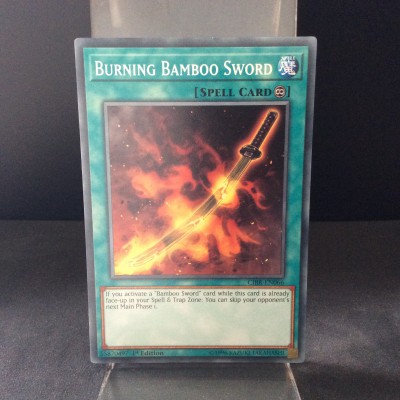 Burning Bamboo Sword