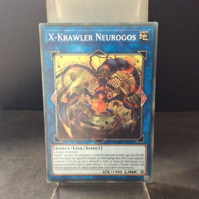 X-Krawler Neurogos