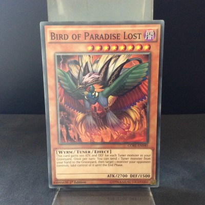 Bird of Paradise Lost