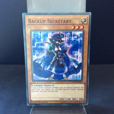 Backup Secretary
