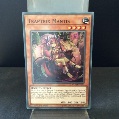 Traptrix Mantis