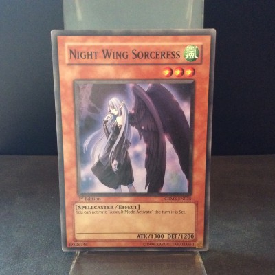 Night Wing Sorceress