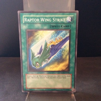 Raptor Wing Strike