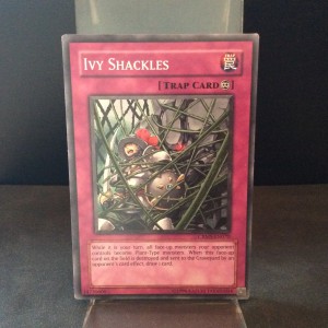 Ivy Shackles