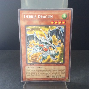 Debris Dragon