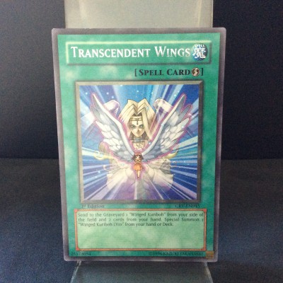 Transcendent Wings