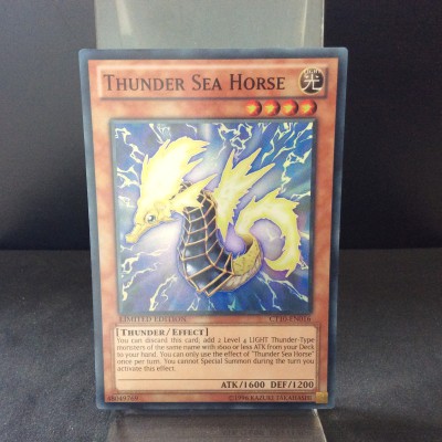 Thunder Sea Horse