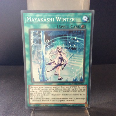 Mayakashi Winter