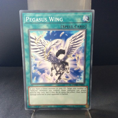 Pegasus Wing