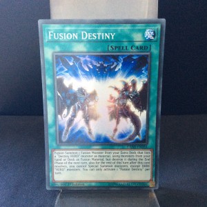 Fusion Destiny