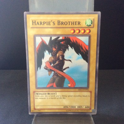 Harpie's Brother