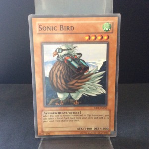 Sonic Bird