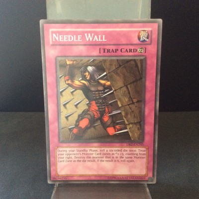 Needle Wall