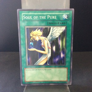 Soul of the Pure