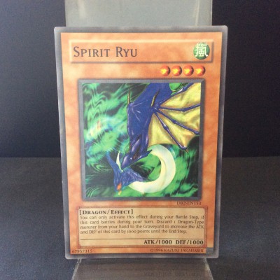 Spirit Ryu