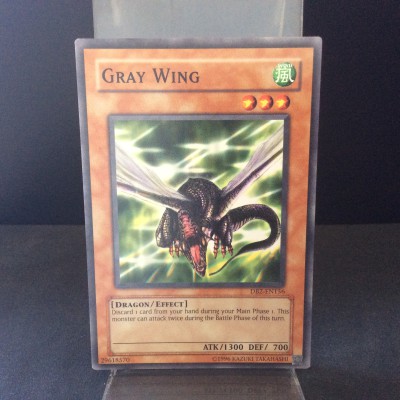 Gray Wing