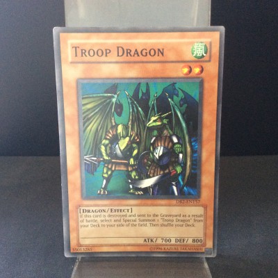 Troop Dragon