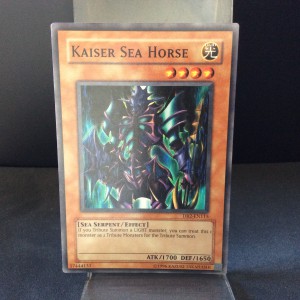 Kaiser Sea Horse