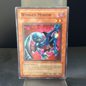 Winged Minion