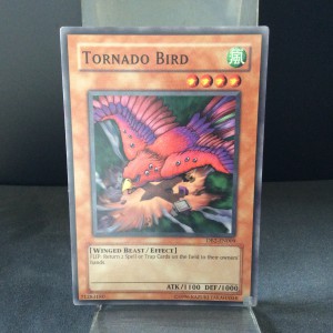 Tornado Bird
