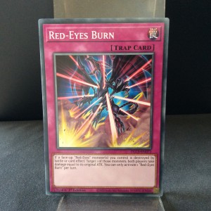 Red-Eyes Burn