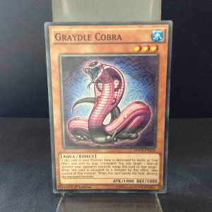 Graydle Cobra