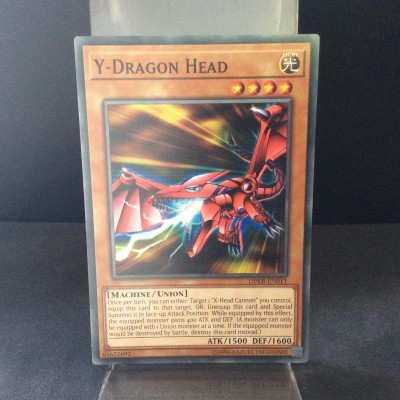 Y-Dragon Head