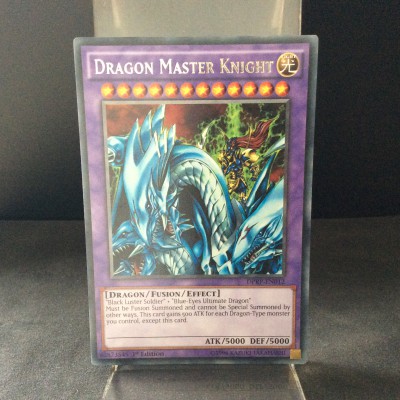 Dragon Master Knight