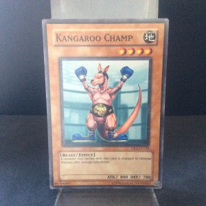 Kangaroo Champ