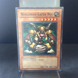 Nobleman-Eater Bug