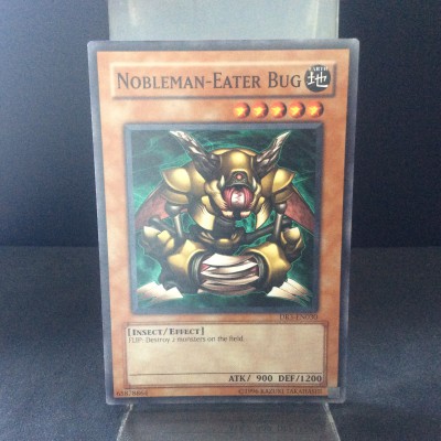 Nobleman-Eater Bug