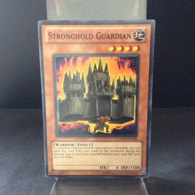Stronghold Guardian