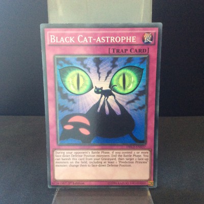 Black Cat-Astrophe