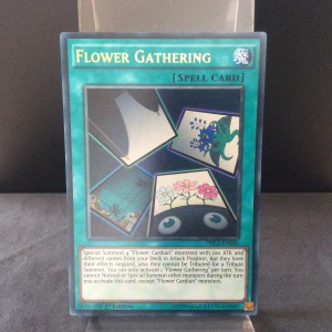 Flower Gathering