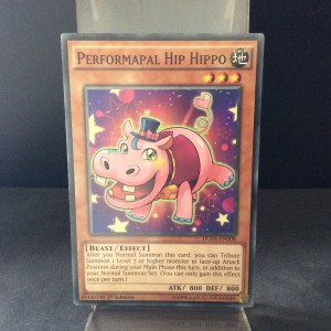 Performapal Hip Hippo