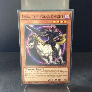 Gaia, the Polar Knight
