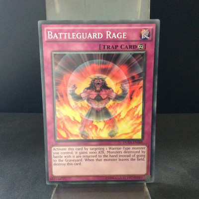 Battleguard Rage