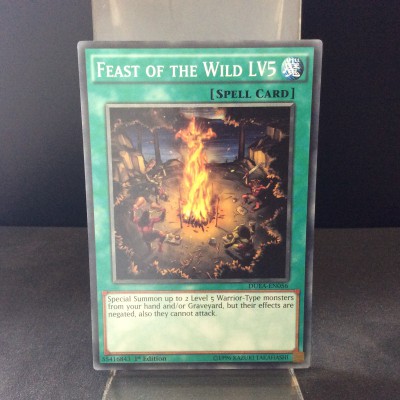 Feast of the WIld LV5