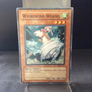 Whirlwind Weasel