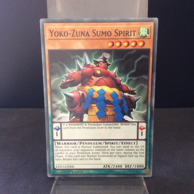 Yoko-Zuna Sumo Spirit