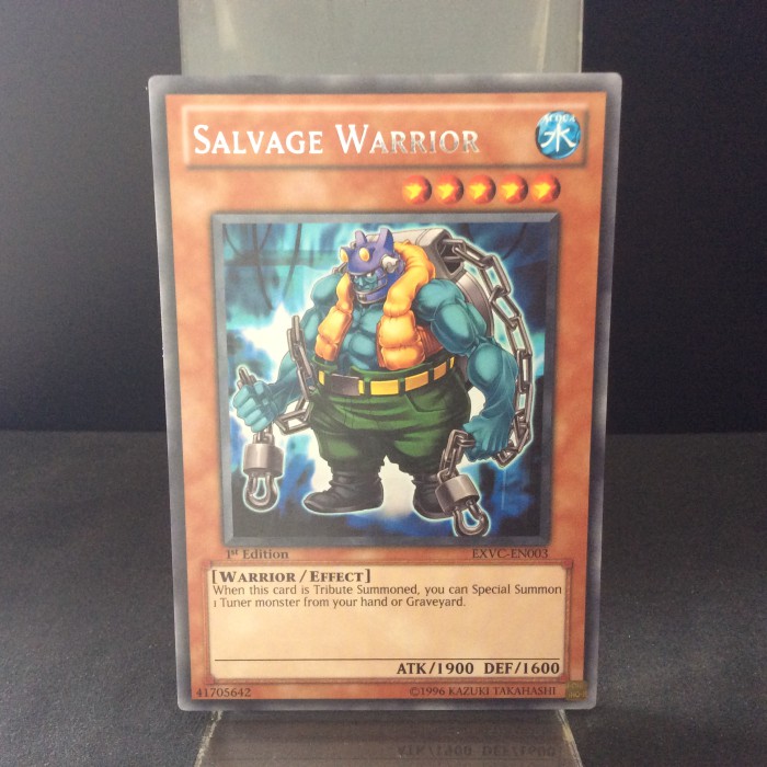 Salvage Warrior