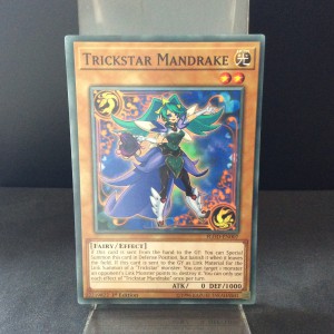 Trickstar Mandrake