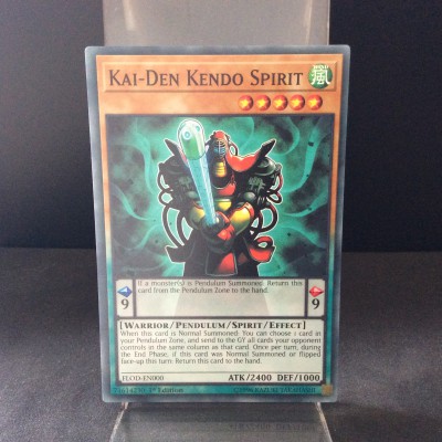 Kai-Den Kendo Spirit