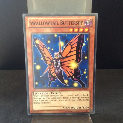 Swallowtail Butterspy