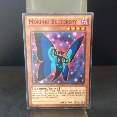 Morpho Butterspy