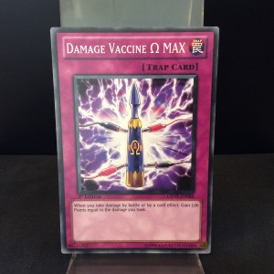 Damage Vaccine MAX