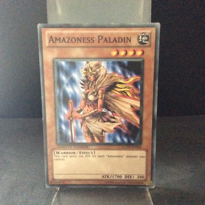 Amazoness Paladin